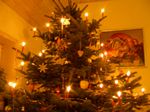 und unser Weihnachtsbaum ohne Karin. 2009-12-24 19:15:02