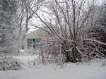 Schneeimpressionen. 2010-01-01 10:48:58