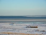 der Limfjord friert langsam zu. 2010-01-04 15:30:41
