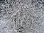 volle Pulle Schneetreiben...